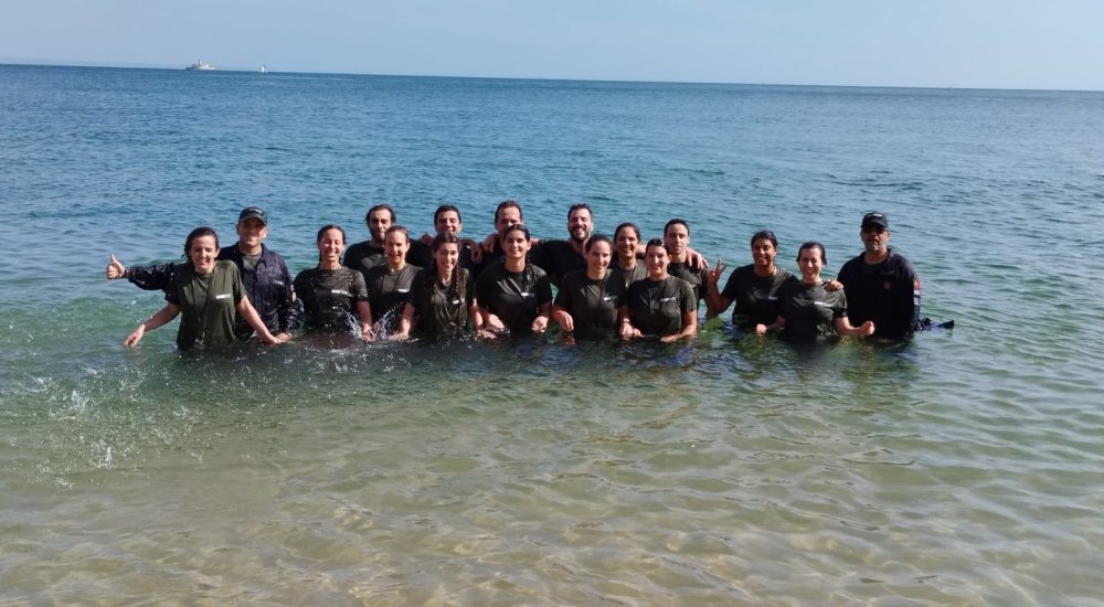 G3DYadOgysBtVMVK4FqK