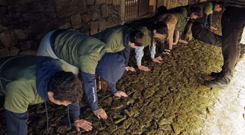 MsUp41fcqrEcaVfleYyL